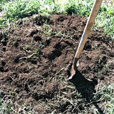 We have clay soil on our property which is bad for fruit trees. Planting Bare Root Trees In Clay Soil Or We Now Have An Orchard Forgotten Skills