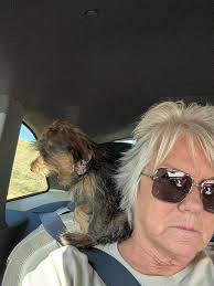 Weight loss progress and accountability journey