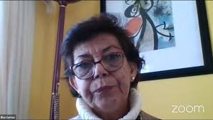 Webinar sobre las acciones y desafíos de la educación de adultos en el  actual contexto de emergencia convocada por la Red Universitaria de  Educación de Adultos (RUEPJA) y Programa Discipinario de Educación