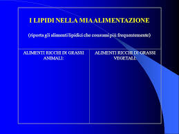 Arachide, soia, granturco, cartamo, semi di cotone Alimenti Energia Dieta Equilibrata Ppt Video Online Scaricare