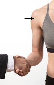 Image result for Yergason Test