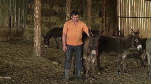 Junto con las islas de coche y cubagua. Afacerea Cu Care Un Crescator De Animale Din Cluj A Dat Lovitura Produsele Lui Sunt La Mare Cautare In Toata Europa Stirileprotv Ro