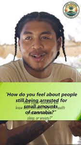 RESIDENTS OF CAYE CAULKER ON LEGALIZATION OF A REGULATED CANNABIS INDUSTRY 