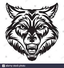 8082 white wolf clip art images on gograph. Portrait Of A Wolf Head On A Black Background Stock Vector Image Art Alamy