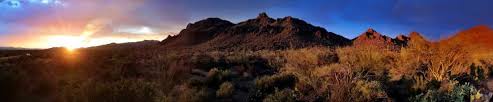The university of arizona (ua) is the flagship institution in the state of arizona and offers graduate programs in more than 150 areas of study. Free Stock Photo Of Tucson Desert Landscape Download Free Images And Free Illustrations