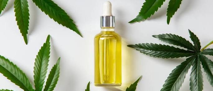 Benefits of CBD Oil: Uses and Potential Side Effects | Alternaleaf UK