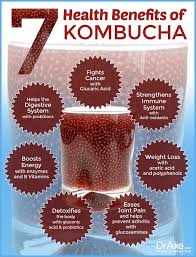 This Immortal Health Elixir Protects Your Gut Fights Food Poisoning Pathogens And More Kombucha Benefits Kombucha Health Benefits Kombucha