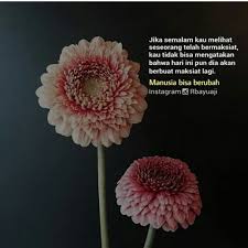 Maybe you would like to learn more about one of these? Tausiyah Cinta Atas Seizin Allah Sang Pemilik Hati Penguasa