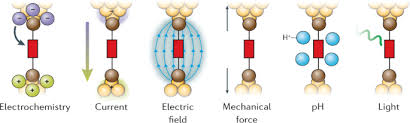 A single-molecule blueprint for synthesis | Nature Reviews Chemistry