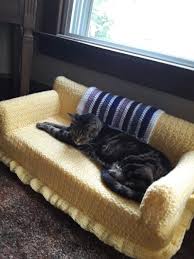 Cat people are devoted to their furry friends, and i've got evidence! You Can Crochet Your Cat A Tiny Couch With A Matching Granny Square Blanket Here S How