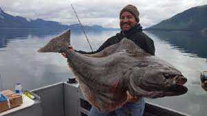 Valdez halibut fishing is unique because of the tours that go along with the trip. Valdez Alaska Halibut Fishing 2018 Youtube