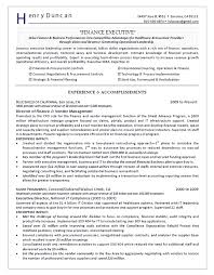 Director Of Finance Resume Example