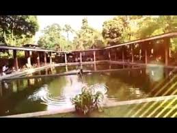 Pemancingan Saung Kemangi Cipaku Youtube