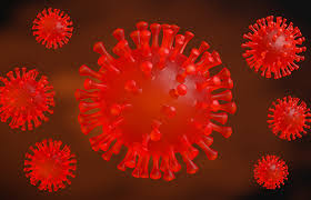 Links with this icon indicate that you are leaving the cdc website. Coronavirus For Those With Heart And Circulatory Disease Bhf