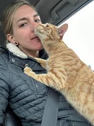 Rehoming a sweet indoor-outdoor cat in Cottonwood Heights