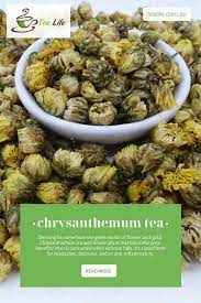 Chrysanthemum Tea Tea Health Benefits Healthy Teas Recipes Herbs For Headaches