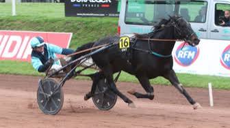 IDEAL LIGNERIES (résultats et engagements) | LETROT