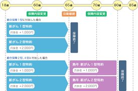 生命共済 総合保障型 特約コース 新がん特約 ご加入にあたって 千葉県民共済