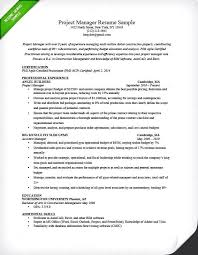 Technical Project Manager Resume Sample 20 It Project Manager Resume ...