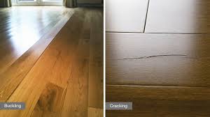 6 Ways Humidity Can Affect Your Hardwood Floor Lauzon Flooring