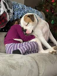 Second Hope Rescue added a new photo.