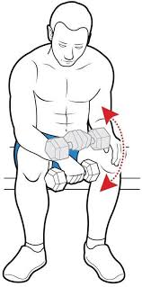 If you feel that you're in physical danger, you may need to involve the authorities. 6 Keys To Wider And Thicker Arms Breaking Muscle