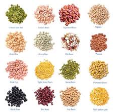 A Legume Is A Plant In The Family Fabaceae Or The Fruit Or Seed Of Such A Plant Legumes Are Grown Agriculturally Primarily For Their Food Grain Seed For Liv