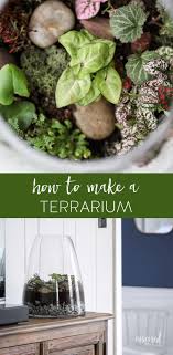 Learn How To Make A Terrarium With This Easy Tutorial Terrarium Plants Diy Garden Via Inspiredbycharm How To Make Terrariums Open Terrariums Terrarium