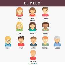 spanisch vokabeln und wortschatz haare haarlangen und haarfarben spanisch lernen spanisch unterrichten spanisch