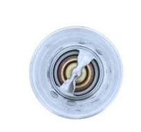 Murray Plus 160 Degree Thermostat