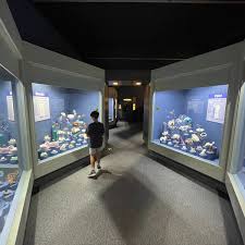 Lyman Museum (2026) - All You MUST Know Before You Go (with Reviews)