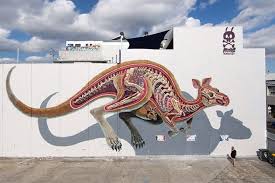 Nychos Anatomy Of A Kangaroo In Melbourne Australia Street Artists Street Art Animal Mural