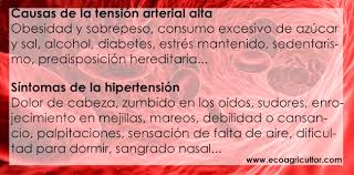 Infusiones Para Bajar La Tension Ecoagricultor