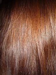 Natural brunettes benefit the most from this dark hair color. Brown Hair Wikipedia