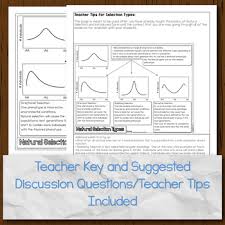 The presence of this selection pressure skews the observed numbers from the expected values, causing the null hypothesis to be rejected, which suggests that something other than chance is acting on the population. Natural Selection Types And Sexual Selection Doodle Diagrams Tpt