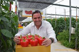 Clause lanza su primer pimiento con resistencias a nemátodos y oídio