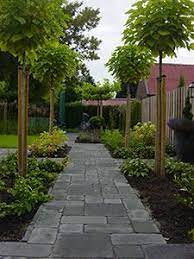 afwisseling bestrating en border tuin tuin bestrating tuin ideeen