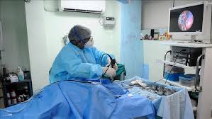 Gregorio avendaño jiménez es un joven de 34 años que está luchando por su vida en el hospital general de zona 71, del imss, en el municipio de chalco pues, según reportes médicos, presenta síntomas de murcomicosis, infección fúngica conocida también como hongo negro. Dlmhtzkcqhg 8m