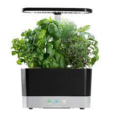 Aerogarden Harvest Indoor Garden With Gourmet Herb Seed Pod Kit Gourmet Herbs Herb Seeds Aerogarden