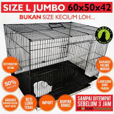 Tersedia berbagai tipe dan merk motor bekas di sby jatim. Jual Sangkar Burung Lovebird Bekas Surabaya Lovebirds Lover