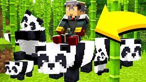 Tameable pandas addon for all versions. How To Tame Ride Pandas Minecraft Addon Mod Youtube