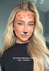 Cheetah and Dog Friendship at San Diego Zoo Safari