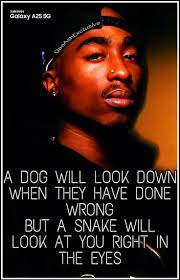 2Pac Outlaw Immortals