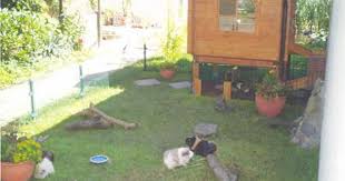 Gehegebilder Tierheim Und Tierschutzzentrum Des Tierschutzverein Leverkusen E V Nordrhein Westfalen Tierheim Tiere Meerschweinchen