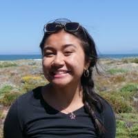 800+ "Rodeo" profiles