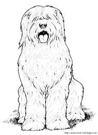 Malvorlagen Hund Bild Ein Schoner Hund Malvorlage Hund Ausmalbilder Hunde Englischer Schaferhund