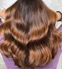 Bronze Brown Golden Brown Hair Color Light Golden Brown Hair Bronze Hair Color