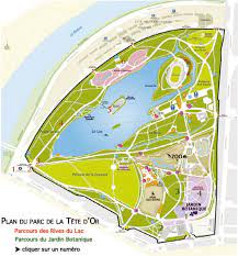 Check spelling or type a new query. Decouverte Des Sculptures Du Parc De La Tete D Or De Lyon