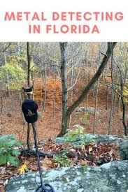 Can metal detectors detect meteorites? 10 Detect Ideas ElectronicÄƒ Arheologie Tehnologie