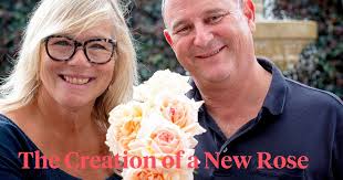 Princess Holly's Hope: Alexandra Farms' New Peach Rose